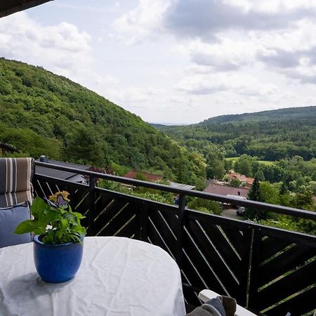 Ferienwohnung Zum Maerchenwald Bergfreiheit Kültér fotó