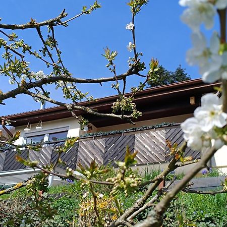 Ferienwohnung Zum Maerchenwald Bergfreiheit Kültér fotó