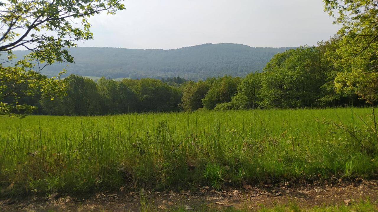 Ferienwohnung Zum Maerchenwald Bergfreiheit Kültér fotó