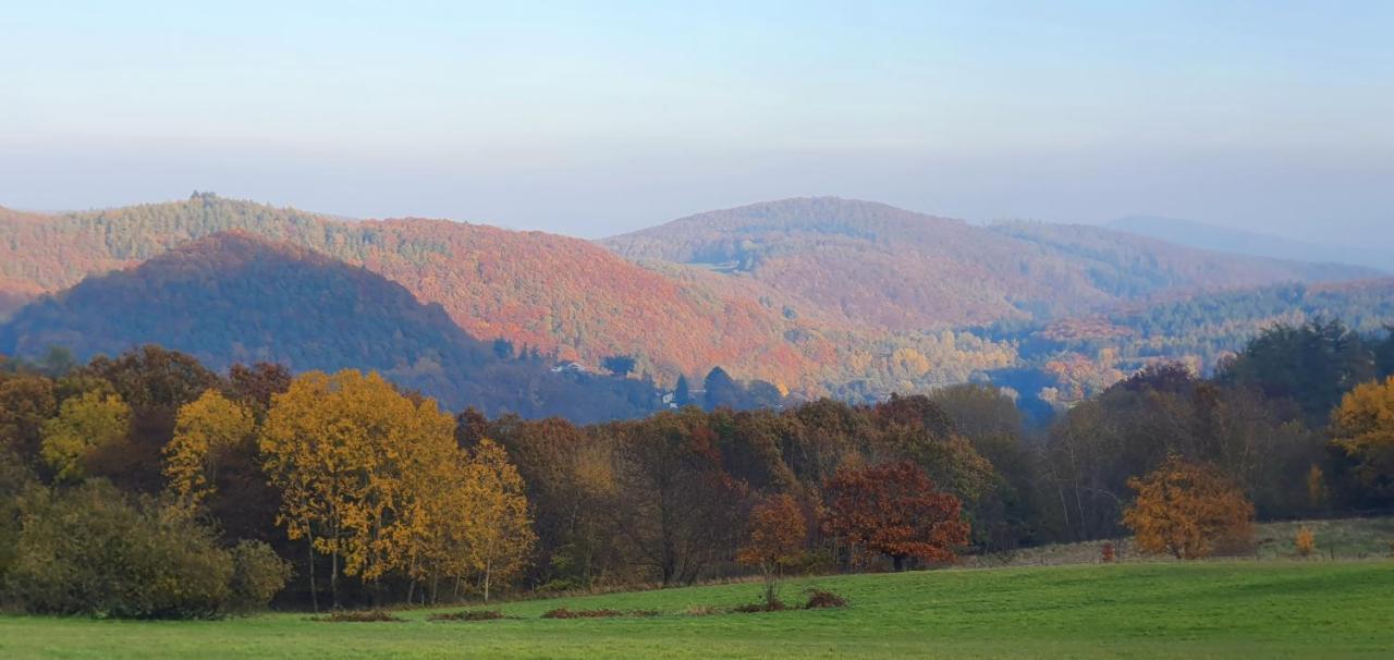 Ferienwohnung Zum Maerchenwald Bergfreiheit Kültér fotó