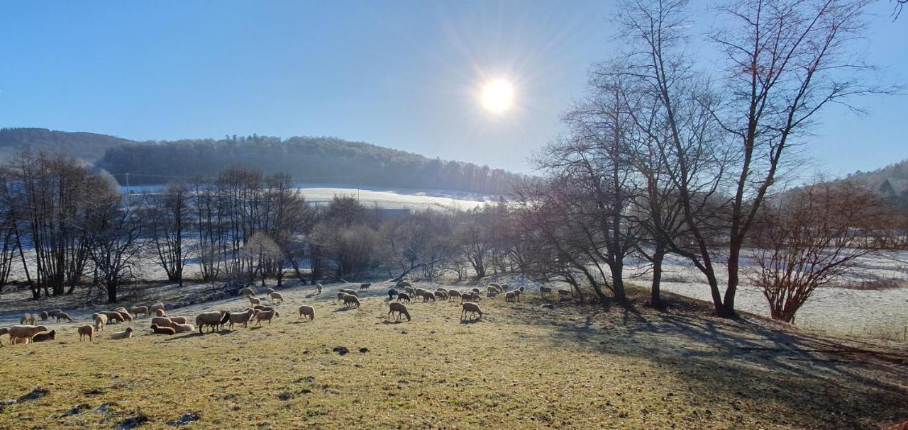 Ferienwohnung Zum Maerchenwald Bergfreiheit Kültér fotó