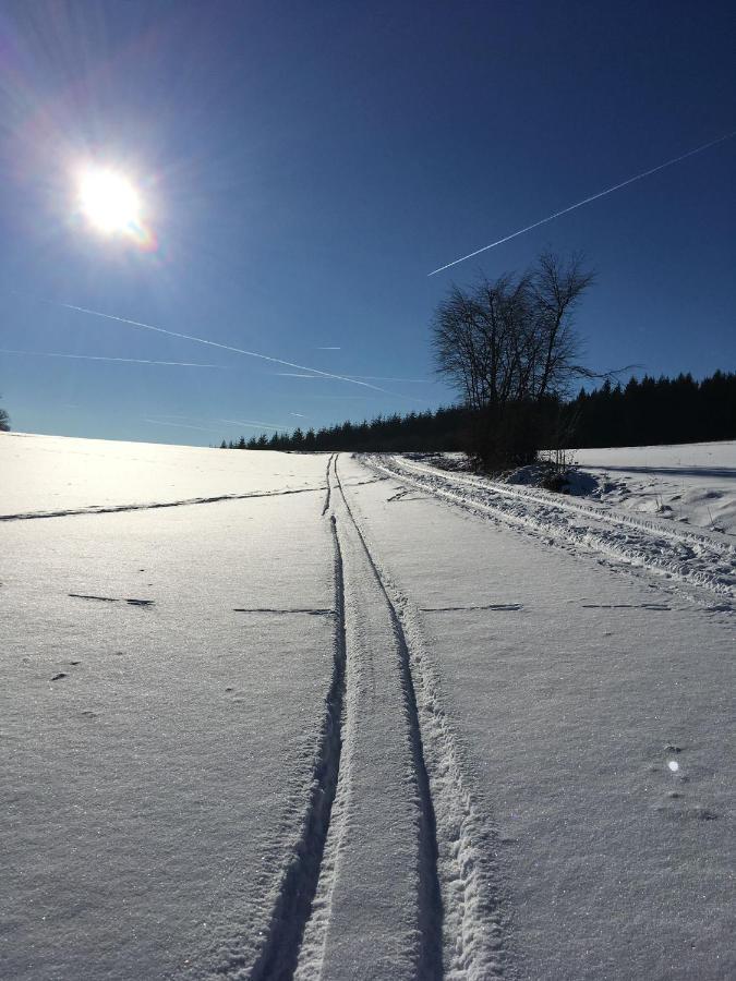 Ferienwohnung Zum Maerchenwald Bergfreiheit Kültér fotó