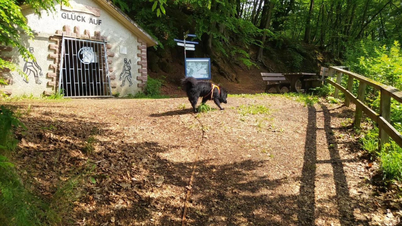 Ferienwohnung Zum Maerchenwald Bergfreiheit Kültér fotó