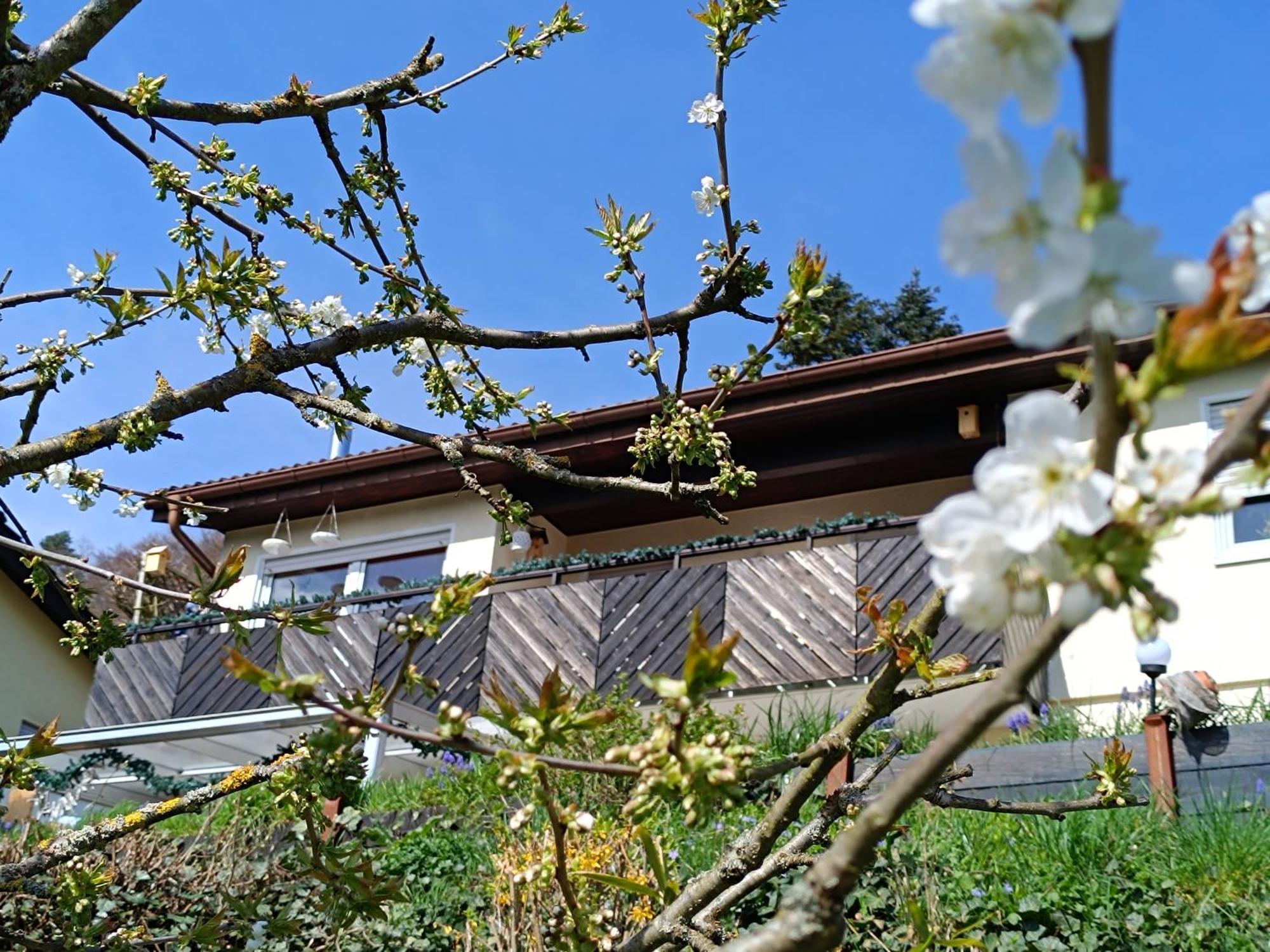 Ferienwohnung Zum Maerchenwald Bergfreiheit Kültér fotó
