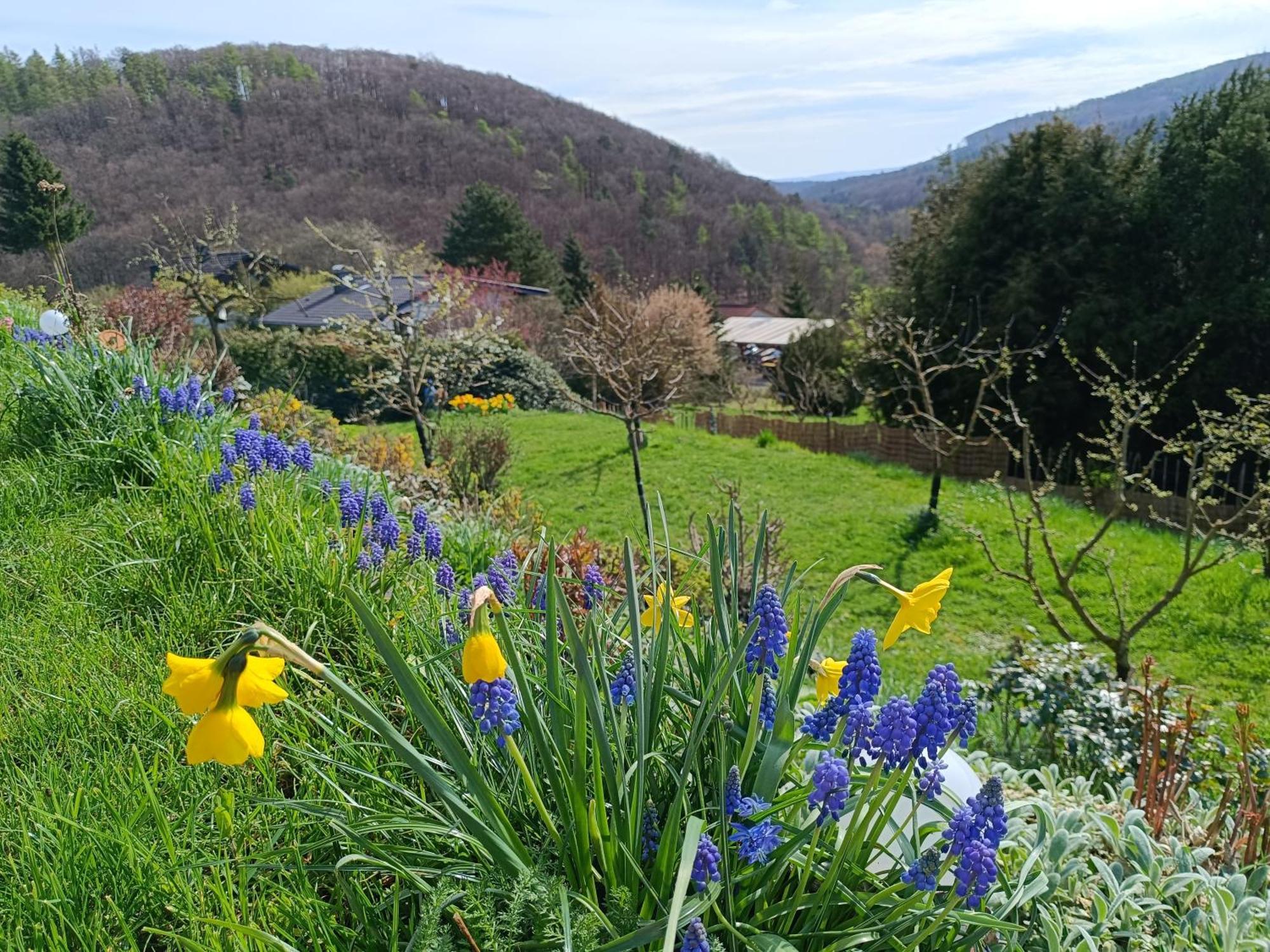 Ferienwohnung Zum Maerchenwald Bergfreiheit Kültér fotó