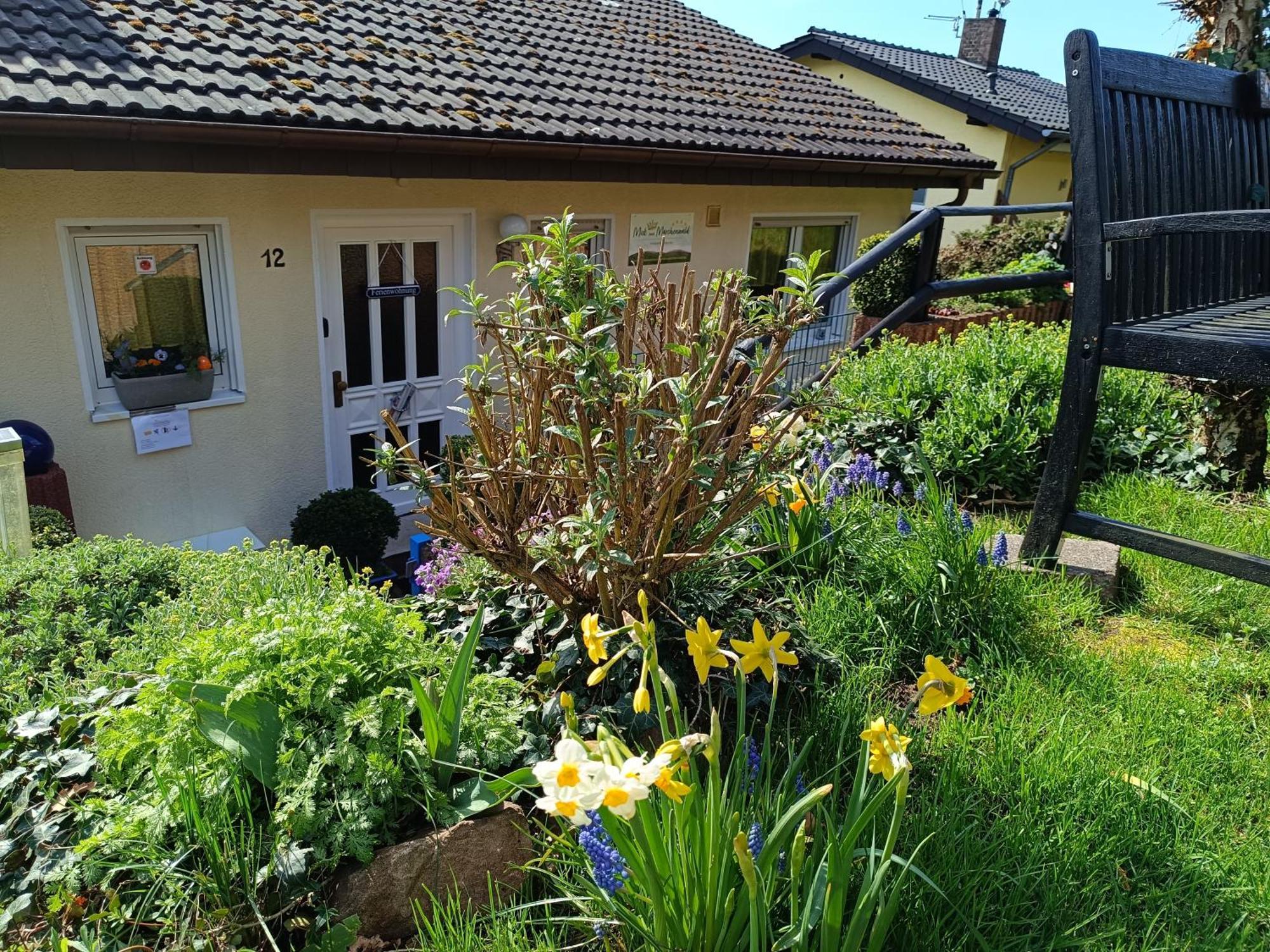 Ferienwohnung Zum Maerchenwald Bergfreiheit Kültér fotó