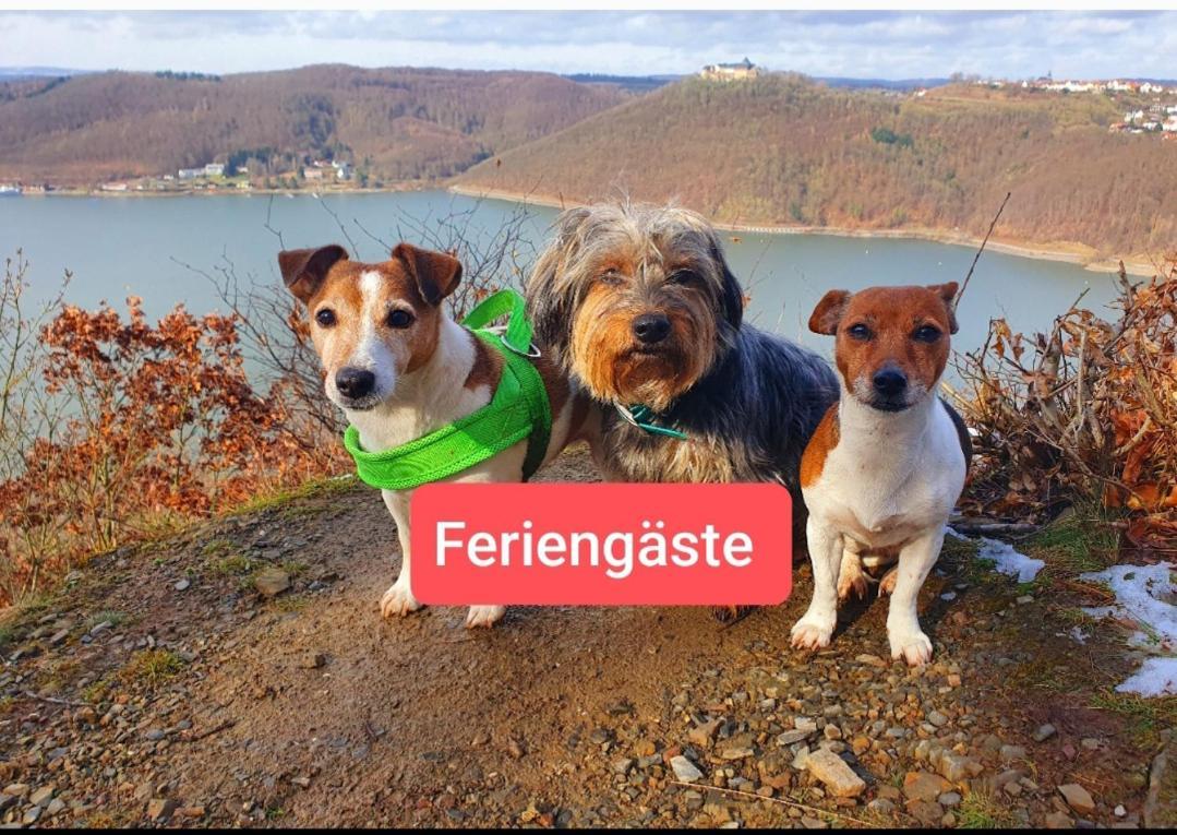 Ferienwohnung Zum Maerchenwald Bergfreiheit Kültér fotó