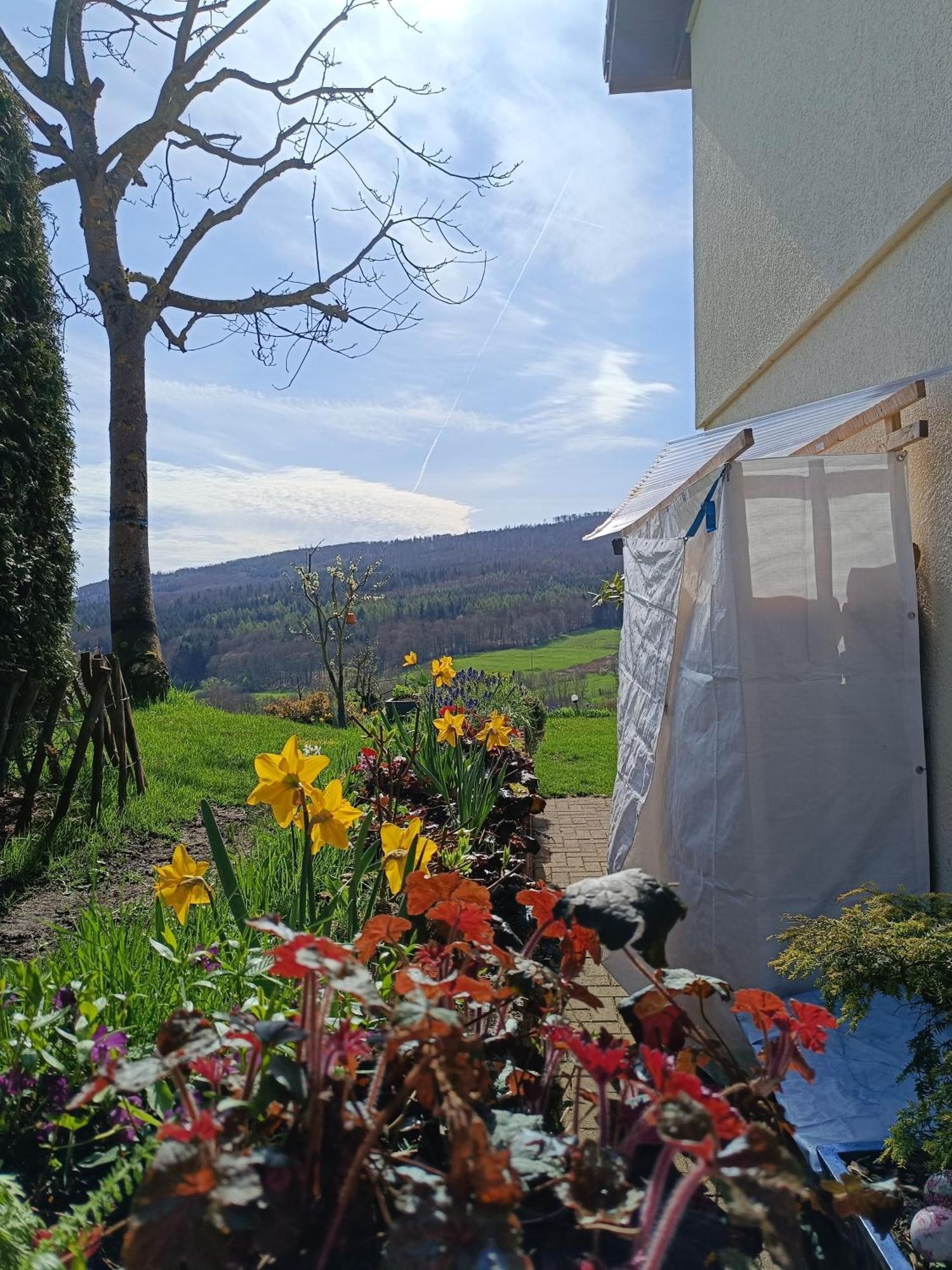 Ferienwohnung Zum Maerchenwald Bergfreiheit Kültér fotó