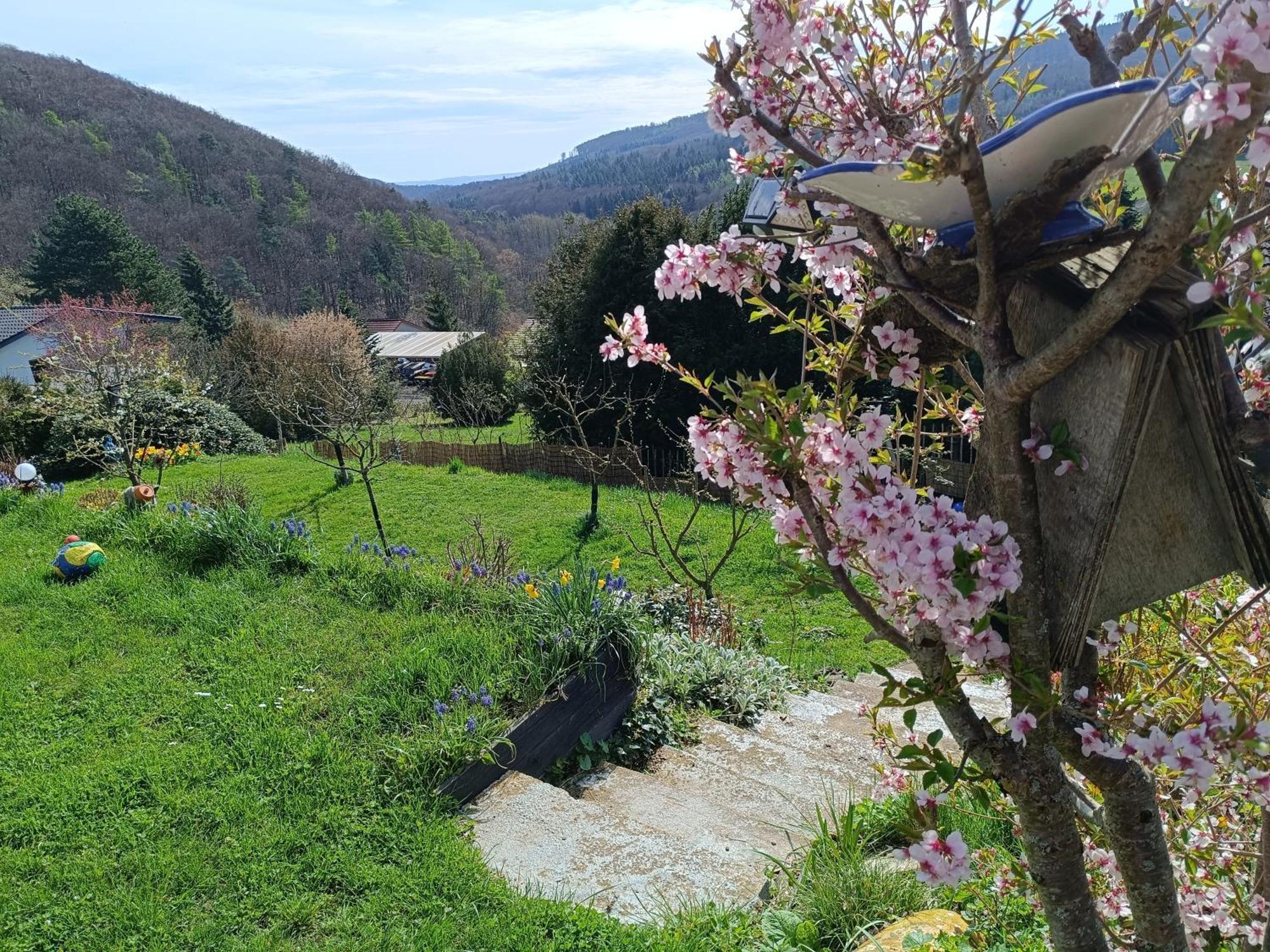 Ferienwohnung Zum Maerchenwald Bergfreiheit Kültér fotó